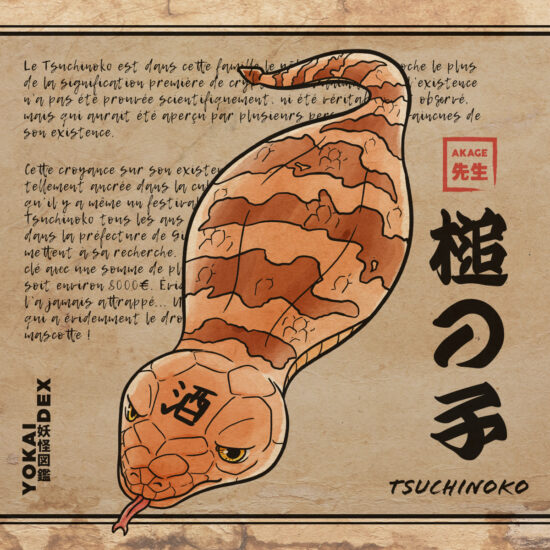 Livre Yokaidex famille cryptide créature esprit japonais tsuchinoko serpent saké