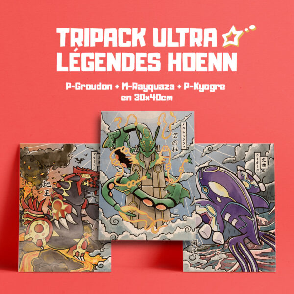 Acheter illustration poster Pokémon légendaires hoenn rayquaza mega primo groudon kyogre estampe japonaise cadeau promo rubis saphir émeraude